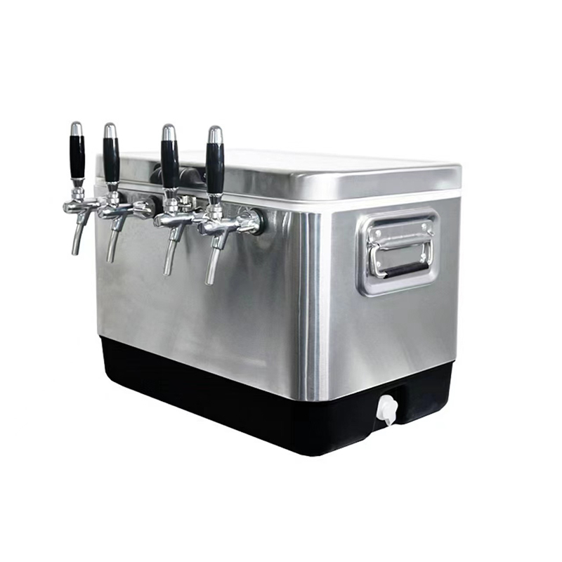 Refrigeratore per Birra Domest - Home Bar And Counter recensione e prezzo